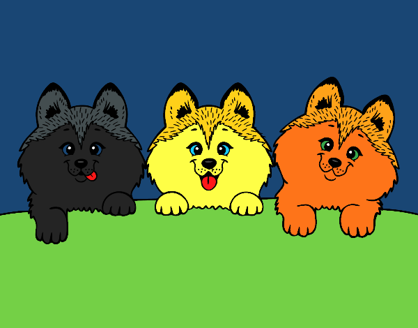 Desenho 3 filhotes de cachorro pintado por Emy2018