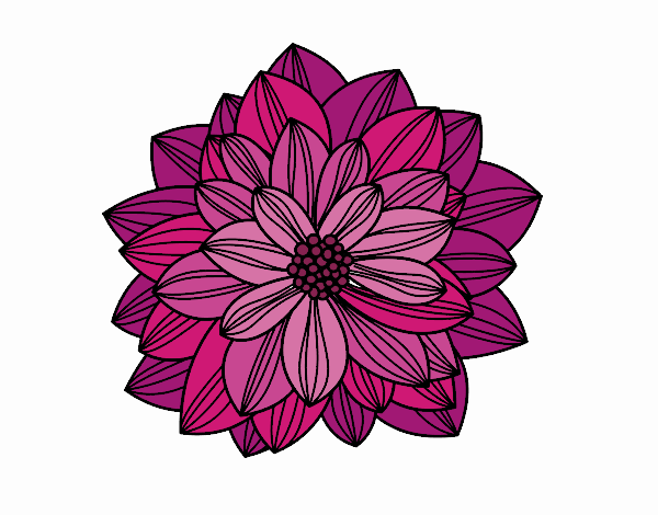 Desenho Flor de dahlia pintado por CARDO