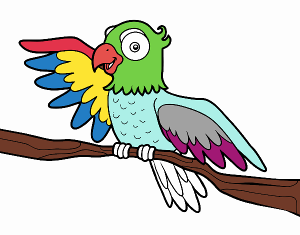 Papagaio en liberdade