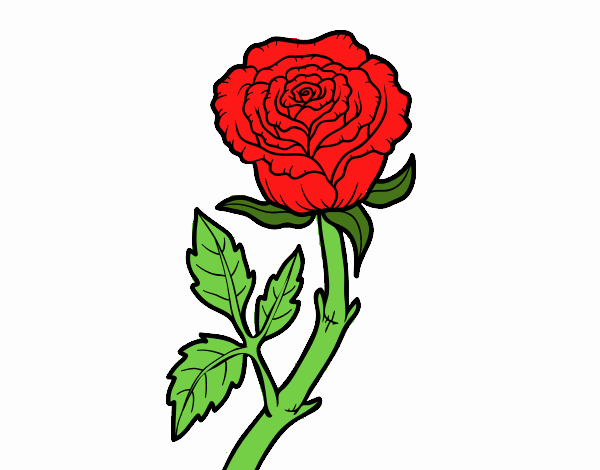Desenho Rosa selvagem pintado por S8IGNORe