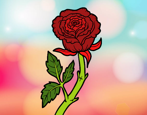 Desenho Rosa selvagem pintado por Nanda12743
