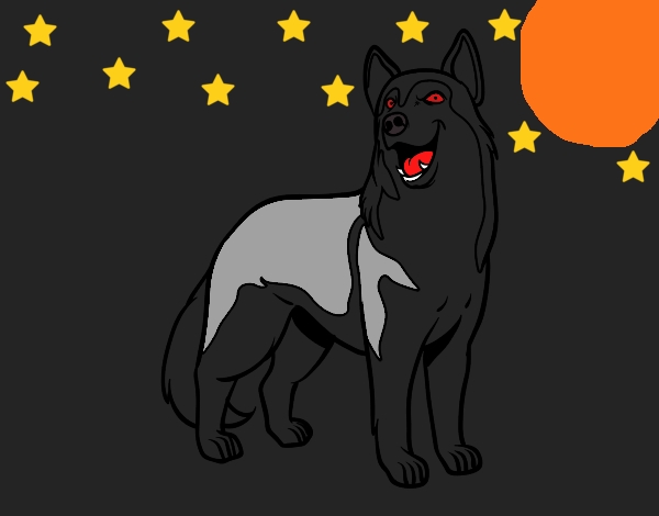 Desenho Cão lobo pintado por JulioJane