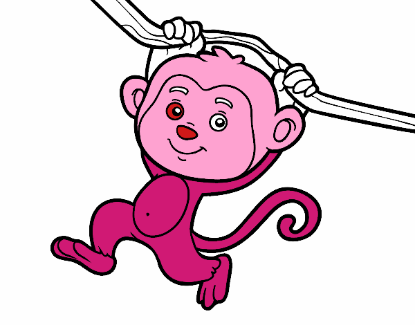 Macaco pendurado em um galho