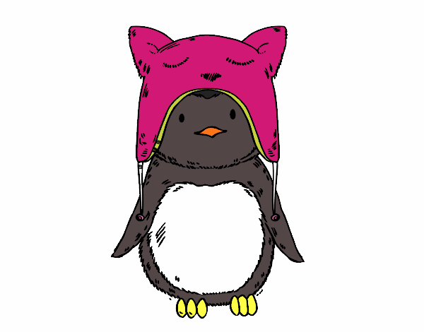Desenho Pinguim com chapéu engraçado pintado por ManuCute