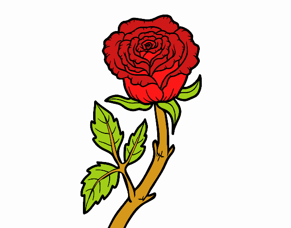 Desenho Rosa selvagem pintado por MaiaraM