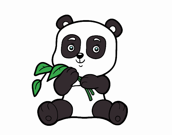 My panda 
