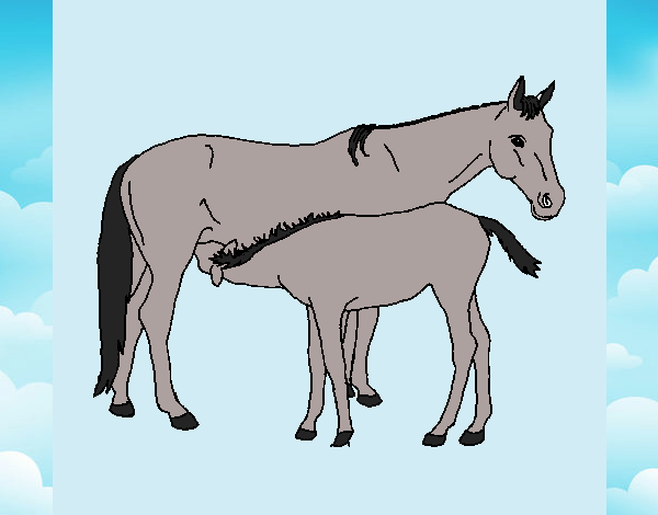 Desenho Cavalos pintado por Sheron