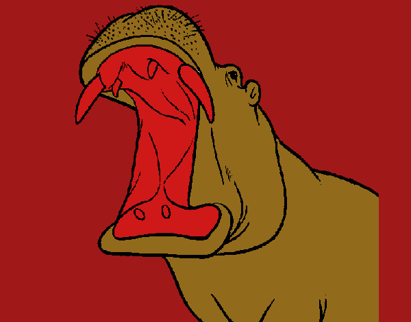 Desenho de Hipopótamo com a boca aberta pintado e colorido por