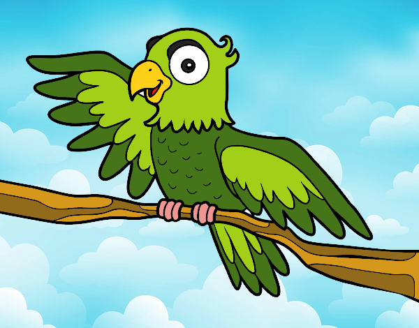 Desenho Papagaio en liberdade pintado por rian123