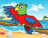Desenho Papagaio en liberdade pintado por manusetta