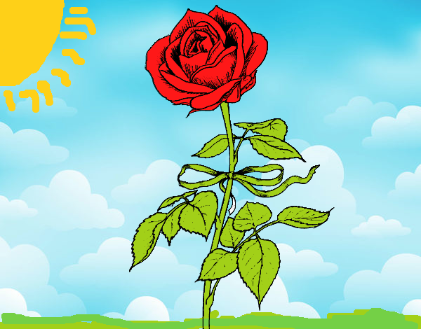 Desenho Uma rosa pintado por rian123