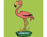 Desenho Flamingo com os pés de molho pintado por Craudia
