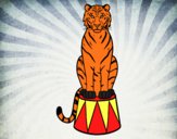 Desenho Tigre do circo pintado por AnaDurigao