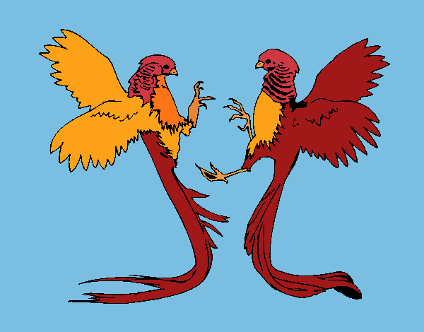 Desenho Aves com caudas grandes pintado por Craudia