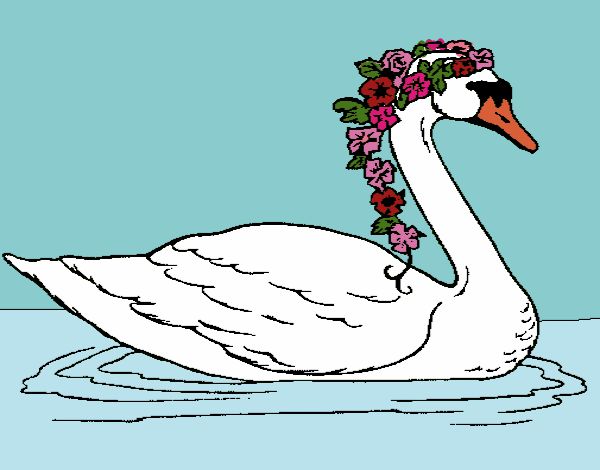 Desenho Cisne com flores pintado por Keithy 