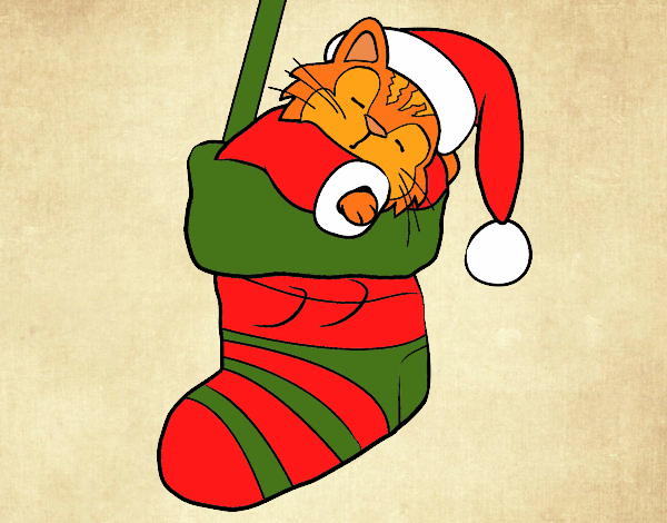 Desenho Gatinho dormindo em uma meia de Natal pintado por BiaCabral