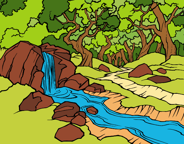 Desenho Paisagem da floresta com um rio pintado por kallissa
