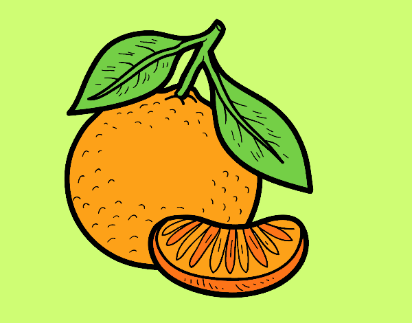 Desenho Uma tangerina pintado por yuuni