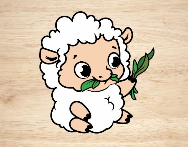 Desenho Bebê ovelha pintado por Keithy 