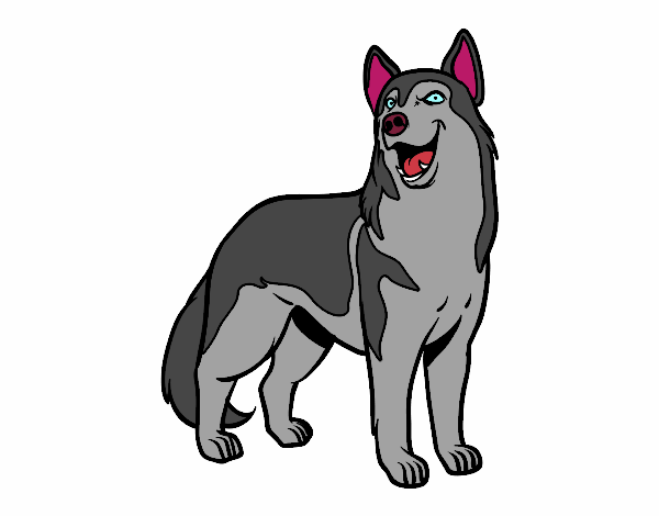 Desenho Cão lobo pintado por LobaFofa