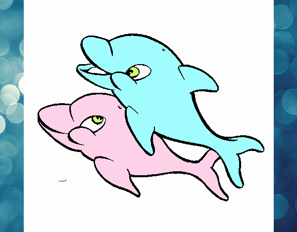 Golfinhos brincando