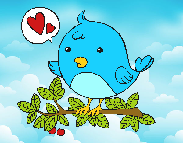 Desenho Pássaro do Twitter pintado por ThaySilvaa