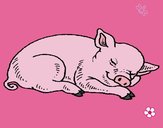 Desenho Porco a dormir pintado por Keithy 