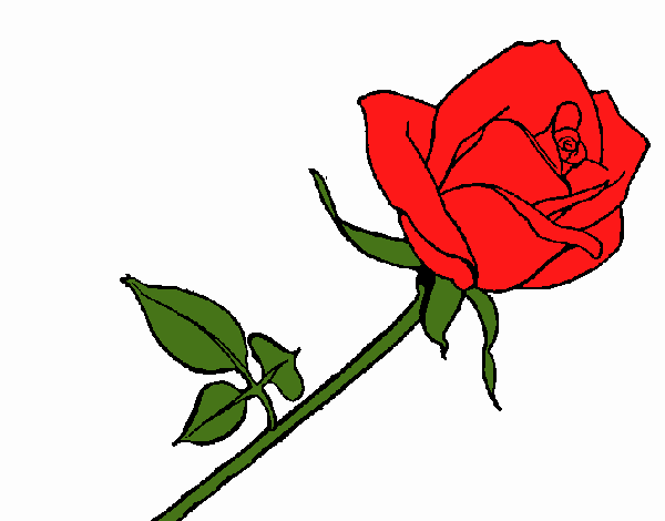 Desenho Rosa pintado por Jujuli