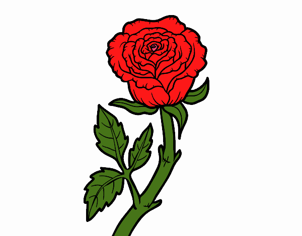 Desenho Rosa selvagem pintado por Jujuli