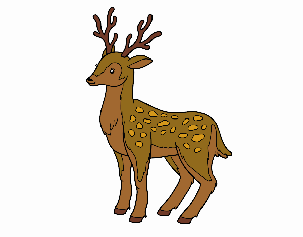 Desenho Un cervo novo pintado por beca-loka