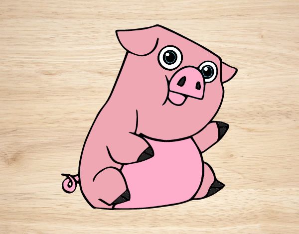 Desenho Un porco pintado por Keithy 