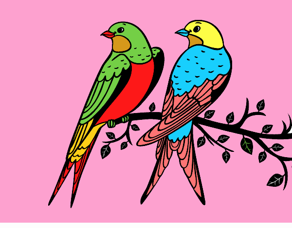 Desenho Par de pássaros pintado por teresasara