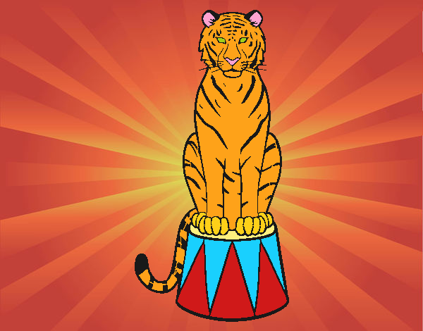 Desenho Tigre do circo pintado por ThaySilvaa