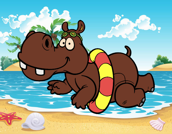 Hipopótamo natação