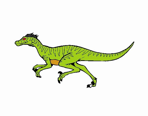 Desenho de Dinossauro velociraptor pintado e colorido por Usuário não  registrado o dia 07 de Setembro do 2018