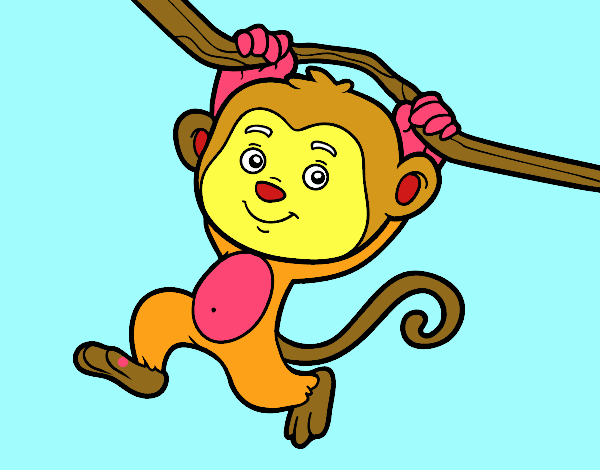 Macaco pendurado em um galho