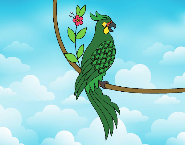 Desenho Tatuagem de papagaio pintado por Craudia