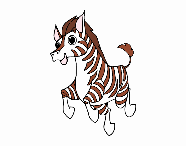 Uma Zebra