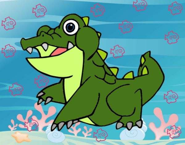Meu crocodilo de agua salgada...