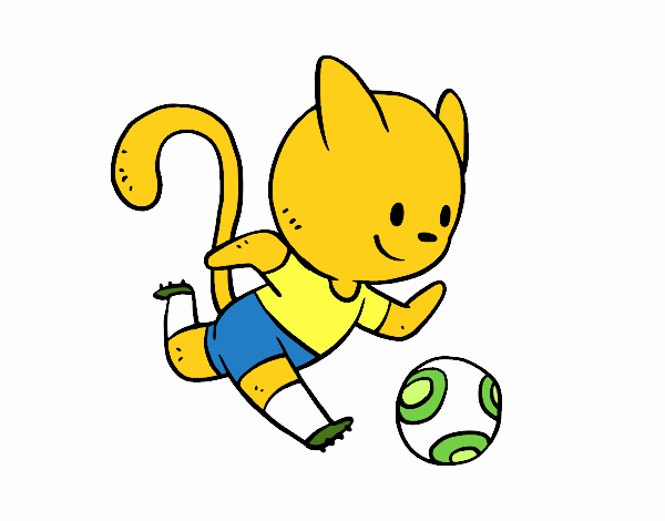 Gato futebol