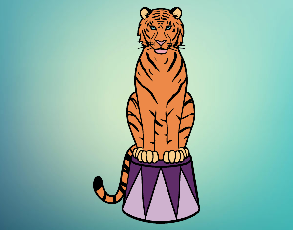 Desenho Tigre do circo pintado por Fernandam