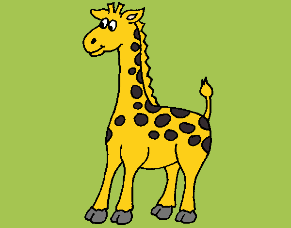 Desenho Girafa 4 pintado por Craudia