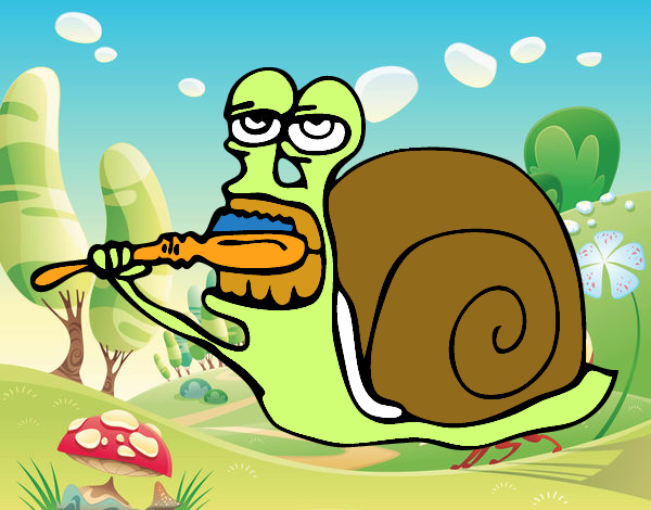 Caracol limpo