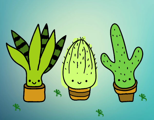 Mini cactus