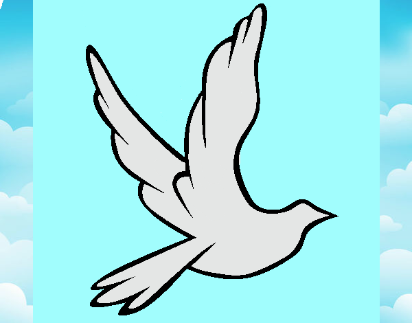 Pomba da paz a voar