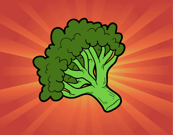 Ramo brócoli