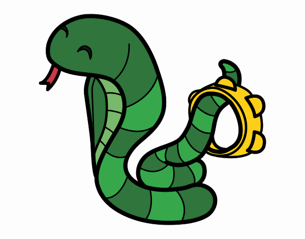 Cobra com tamborin