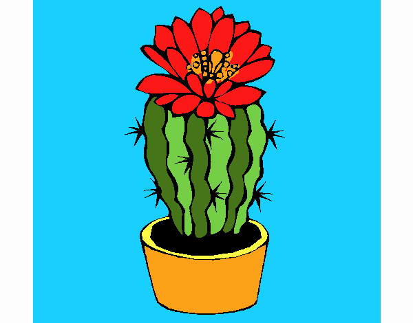Desenho de Cacto com flor para Colorir - Colorir.com