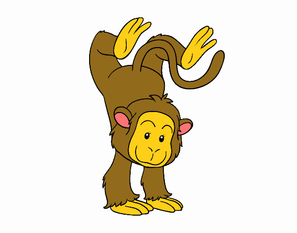 Desenho de Equilibrista macaco para Colorir - Colorir.com