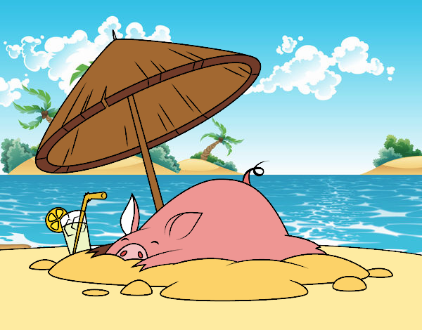 Porco na praia